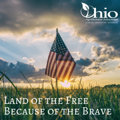 Land Of The Freebecause Of The Brave